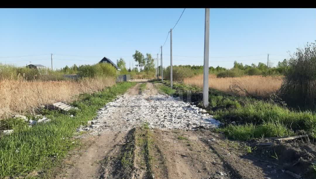 земля г Тюмень р-н Центральный снт Поле чудес Лазурная ул фото 4