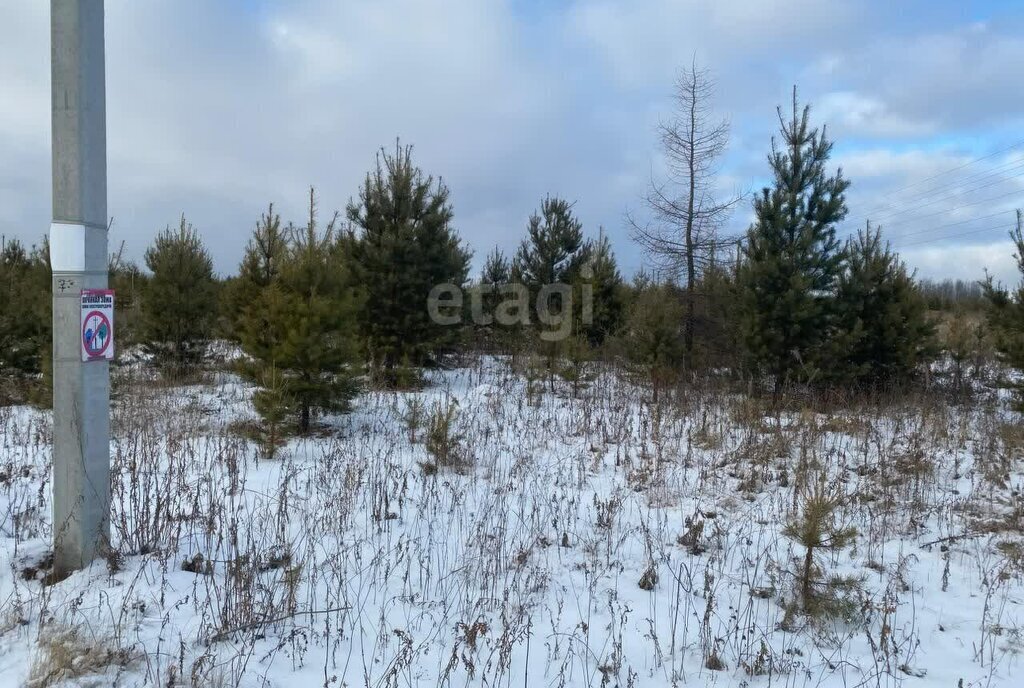 земля г Алапаевск ул Рубиновая фото 3