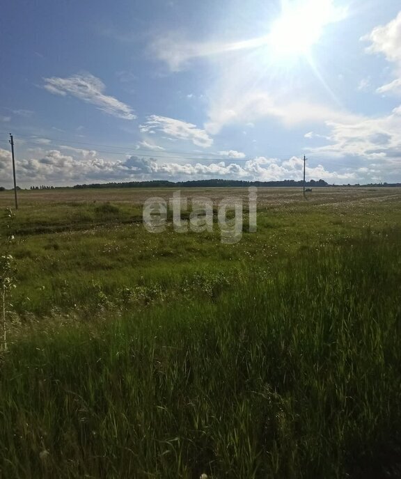 земля г Алапаевск ул Родонитовая фото 3