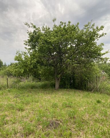 р-н Заводской снт тер.Росинка фото