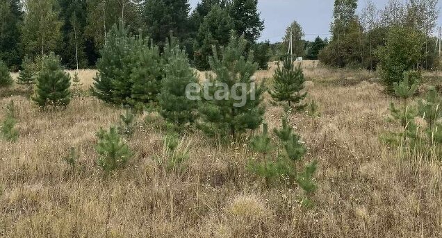 земля г Пенза р-н Железнодорожный Ахуны фото 4