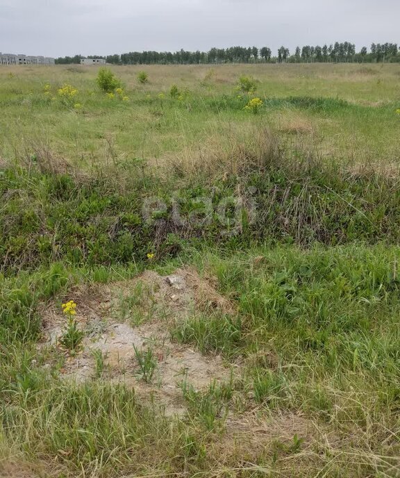 земля г Пенза посёлок совхоза Заря посёлок Совхоз Заря Октябрьский район фото 7