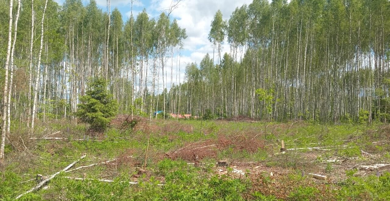 земля г Владимир р-н Октябрьский ул 3-я Сорокинская фото 1