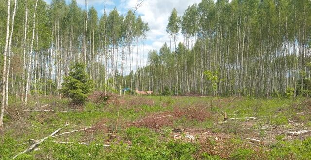 земля р-н Октябрьский фото