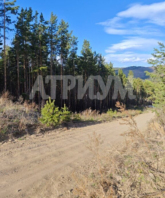 земля г Улан-Удэ п Верхняя Березовка р-н Железнодорожный фото 15