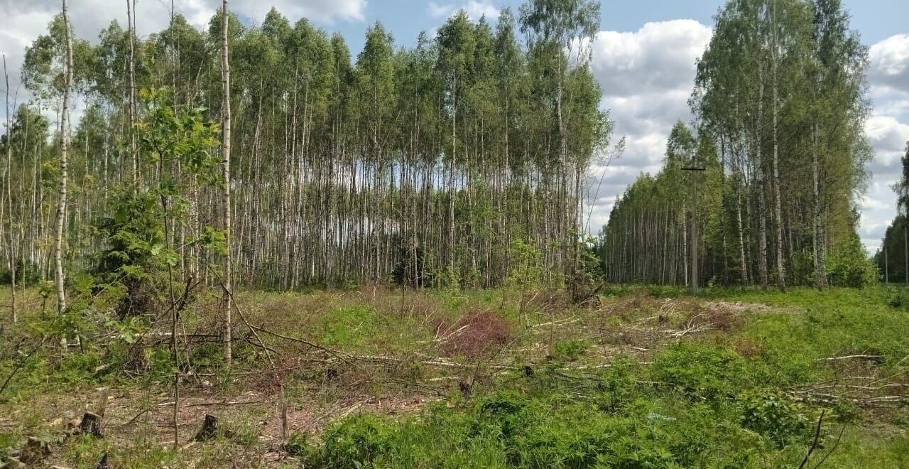 земля г Владимир р-н Октябрьский ул 3-я Сорокинская фото 5
