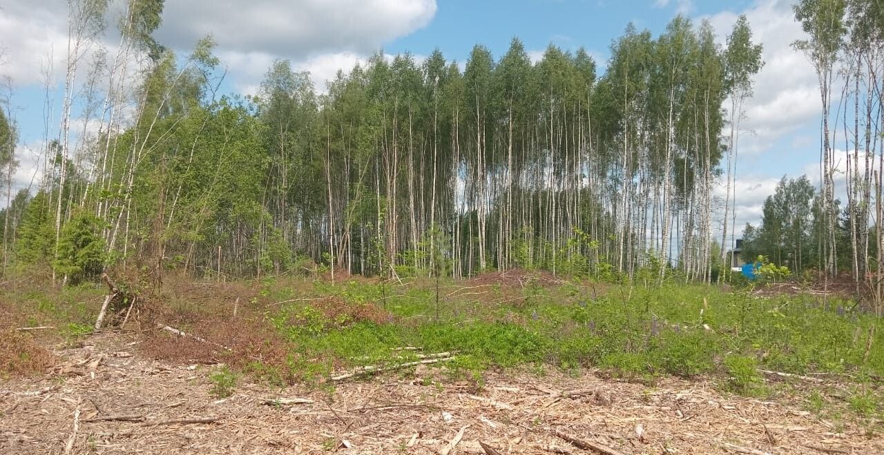 земля г Владимир р-н Октябрьский ул 3-я Сорокинская фото 6