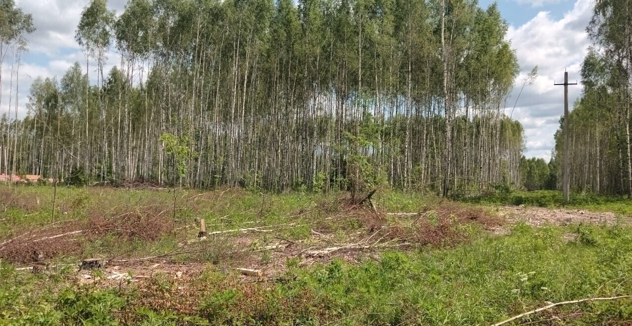 земля г Владимир р-н Октябрьский ул 3-я Сорокинская фото 7