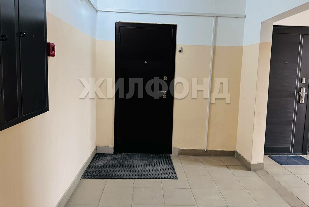 квартира г Новосибирск р-н Октябрьский Золотая Нива ул Татьяны Снежиной 49/3 Плющихинский фото 23