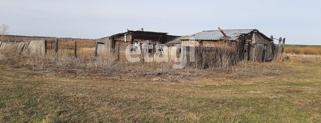ул Центральная фото