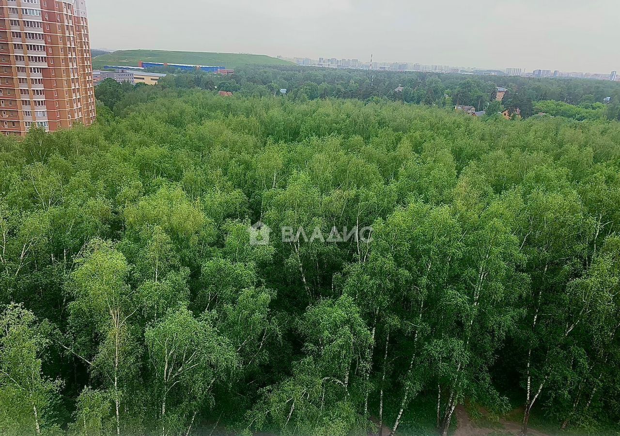 квартира г Балашиха мкр Кучино ул Центральная 49 Кучино фото 2
