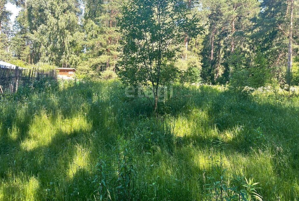 земля г Калуга снт Ветеран фото 6