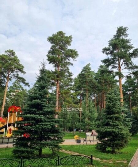 квартира г Новосибирск р-н Калининский Заельцовская ул Богдана Хмельницкого 19/3 фото 5