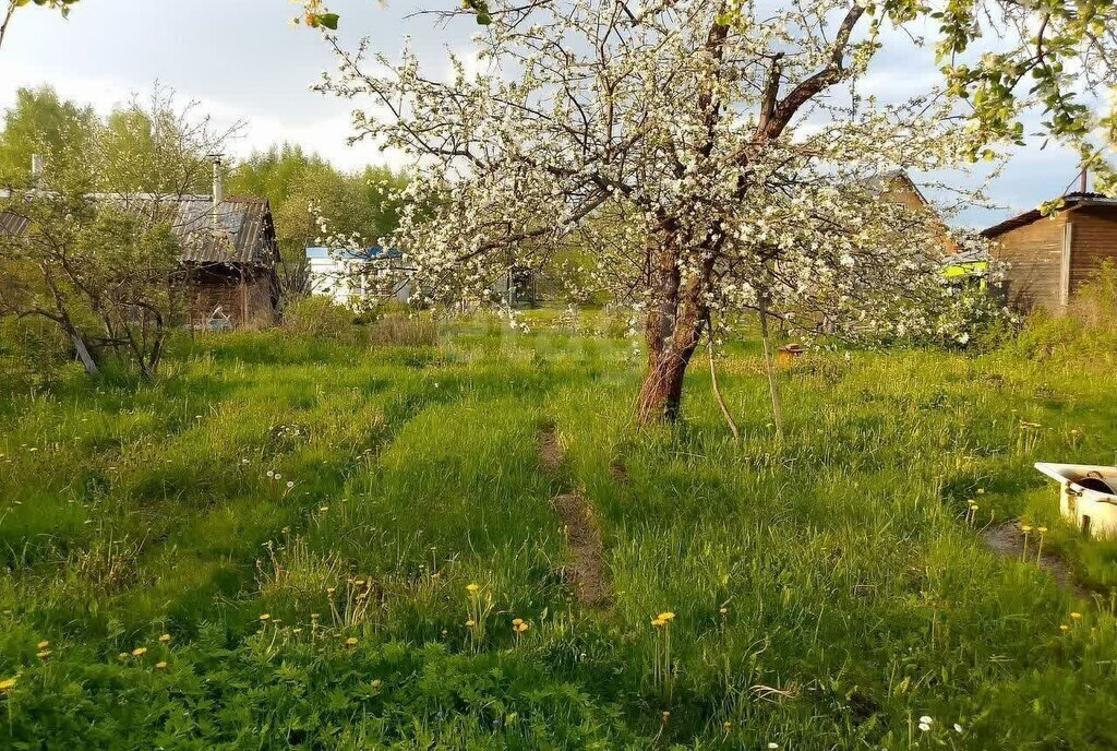 дом г Ярославль р-н Заволжский снт Юбилейный фото 4