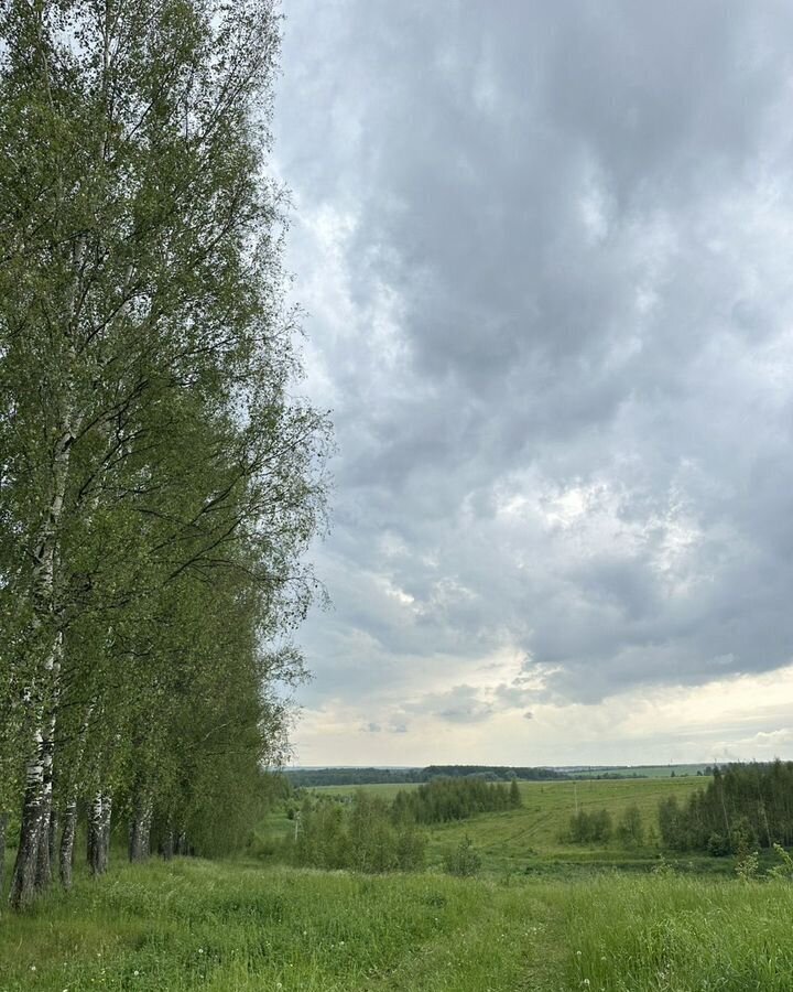 земля г Нижний Новгород д Сартаково фото 11