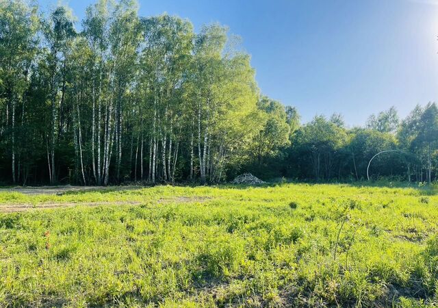 ул Лесная 52 км, Михнево, Новокаширское шоссе фото