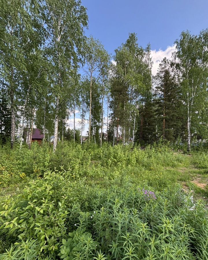 земля г Первоуральск коттеджный пос. Молодёжный фото 9