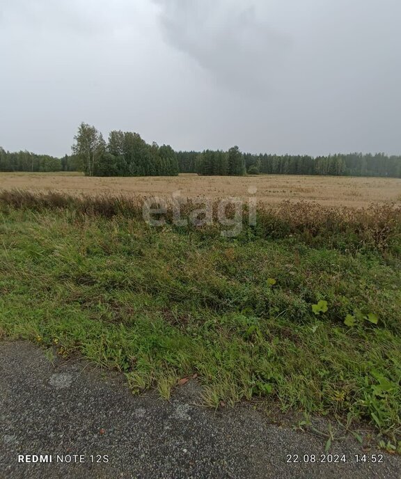 земля г Алапаевск п Западный ул Ул. Ольховая фото 3