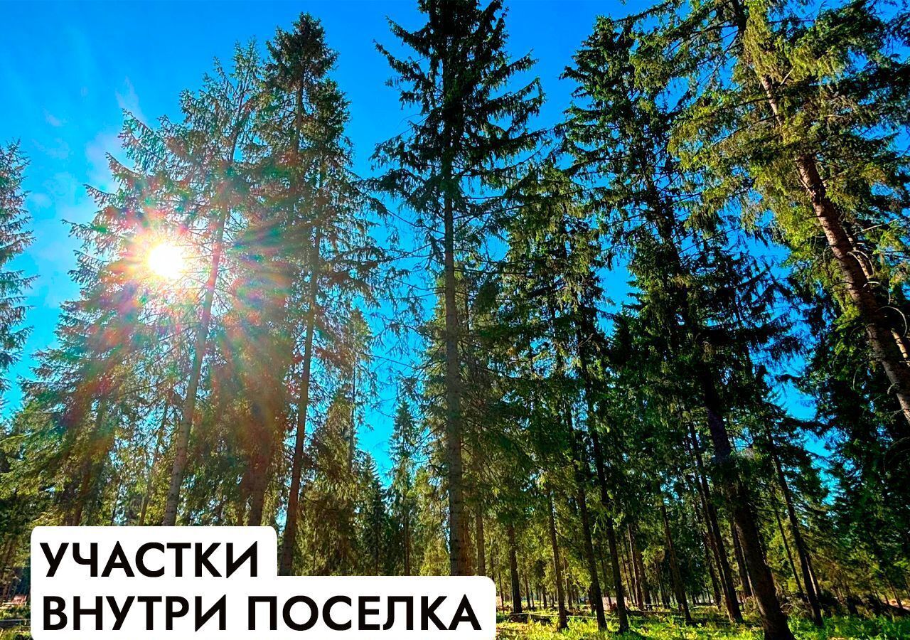 земля г Ступино 61 км, коттеджный пос. Грин Форест Парк, Михнево, Симферопольское шоссе фото 19