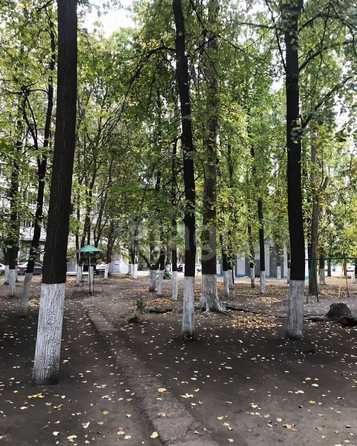 квартира г Воронеж р-н Коминтерновский пр-кт Труда 8б фото 19