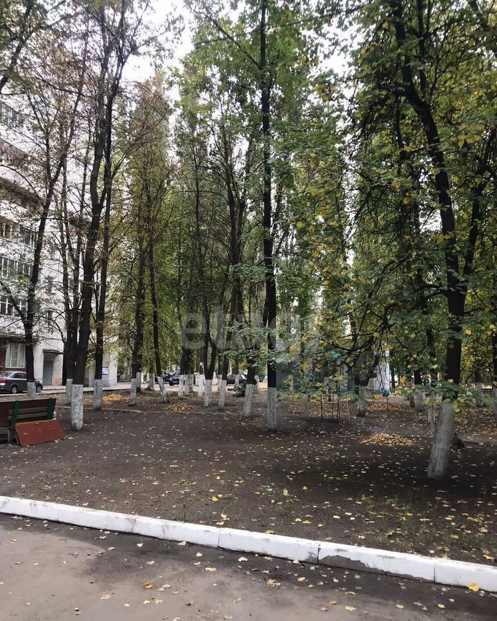 квартира г Воронеж р-н Коминтерновский пр-кт Труда 8б фото 22