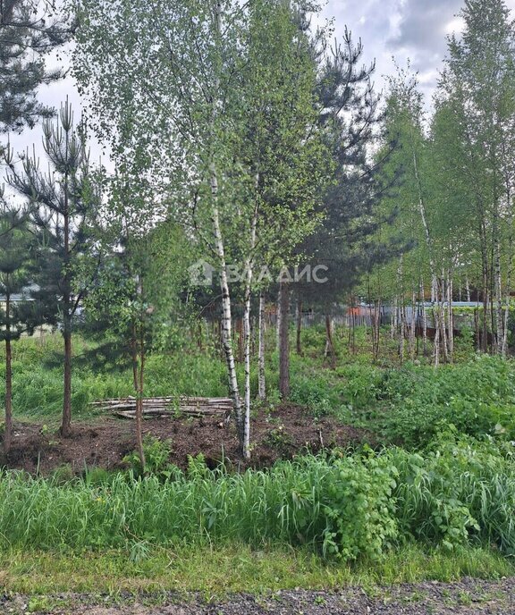 земля городской округ Богородский г Ногинск снт Электрон фото 9