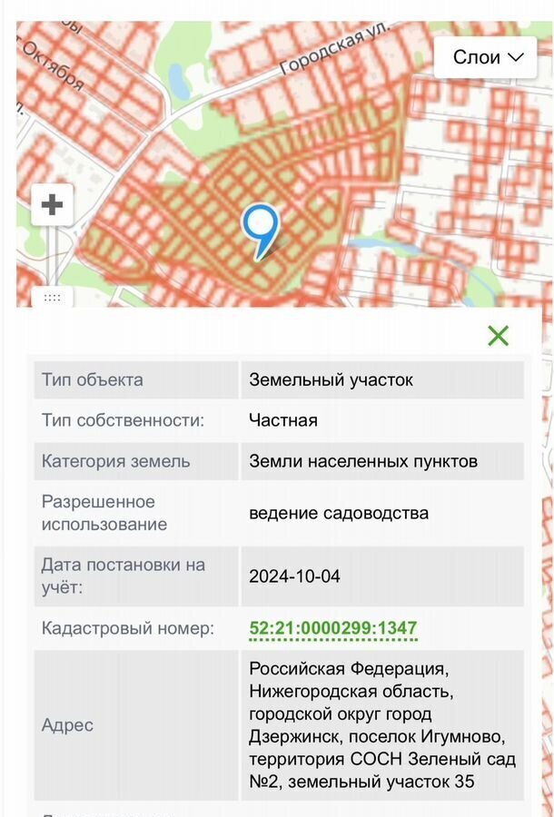 земля г Дзержинск сельский пос. Игумново фото 1