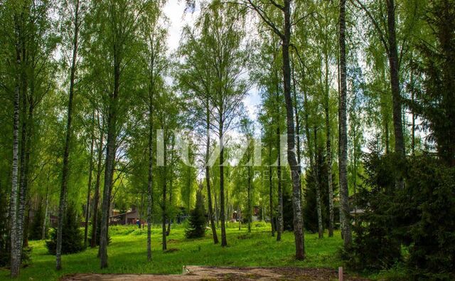Трасса Сортавала, 63 км, Петровское сельское поселение, коттеджный пос. Сосны, 2 фото