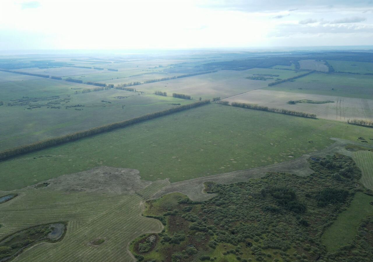 земля р-н Благовещенский г Благовещенск 80К-025 фото 4