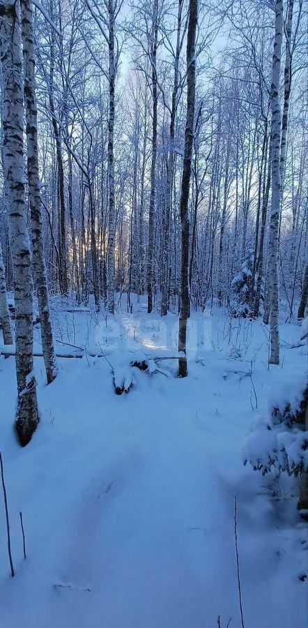 дом р-н Всеволожский г Всеволожск Мурманское шоссе, 13 км, Всеволожское городское поселение, дачное некоммерческое партнёрство Волшебный Сад, Центральный пр., 1 фото 11