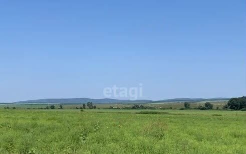 земля г Новороссийск х Семигорский ст-ца Натухаевская муниципальное образование Новороссийск фото 1