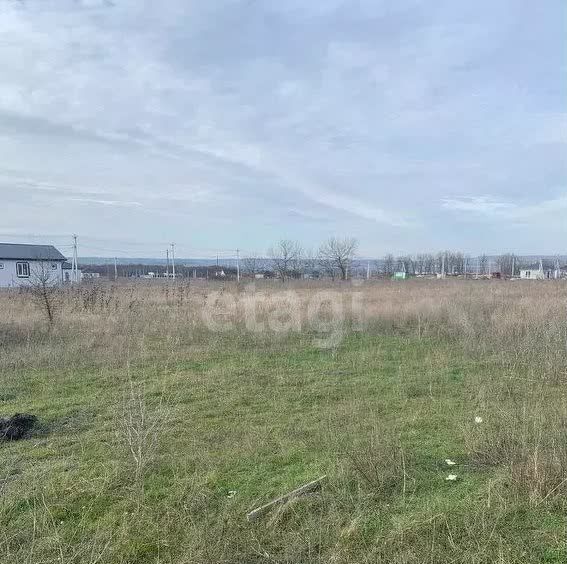 земля г Новороссийск х Семигорский ст-ца Натухаевская муниципальное образование Новороссийск фото 3