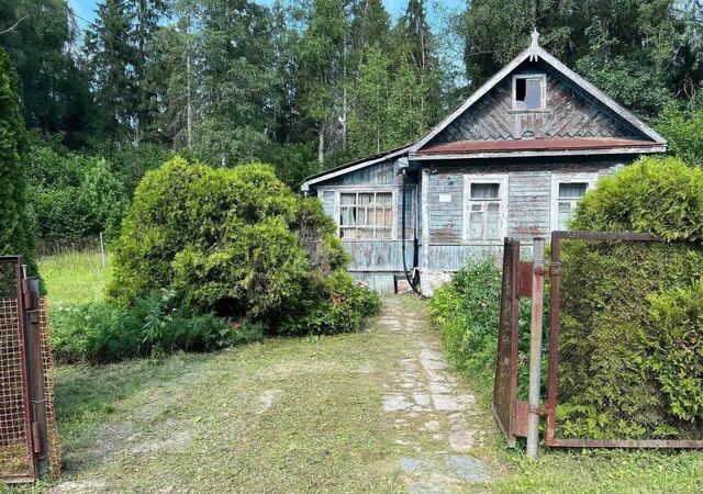 снт Мотор 56 км, Клин, Ленинградское шоссе фото