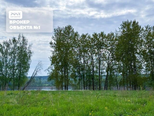 Ромашкинское с/пос, Ромашково кп фото
