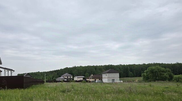 д Аладьино ул Центральная фото