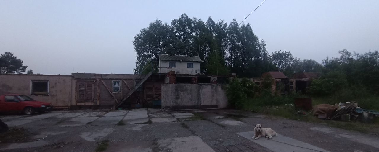 свободного назначения р-н Черняховский г Черняховск пер Победы 3-й 15а фото 16