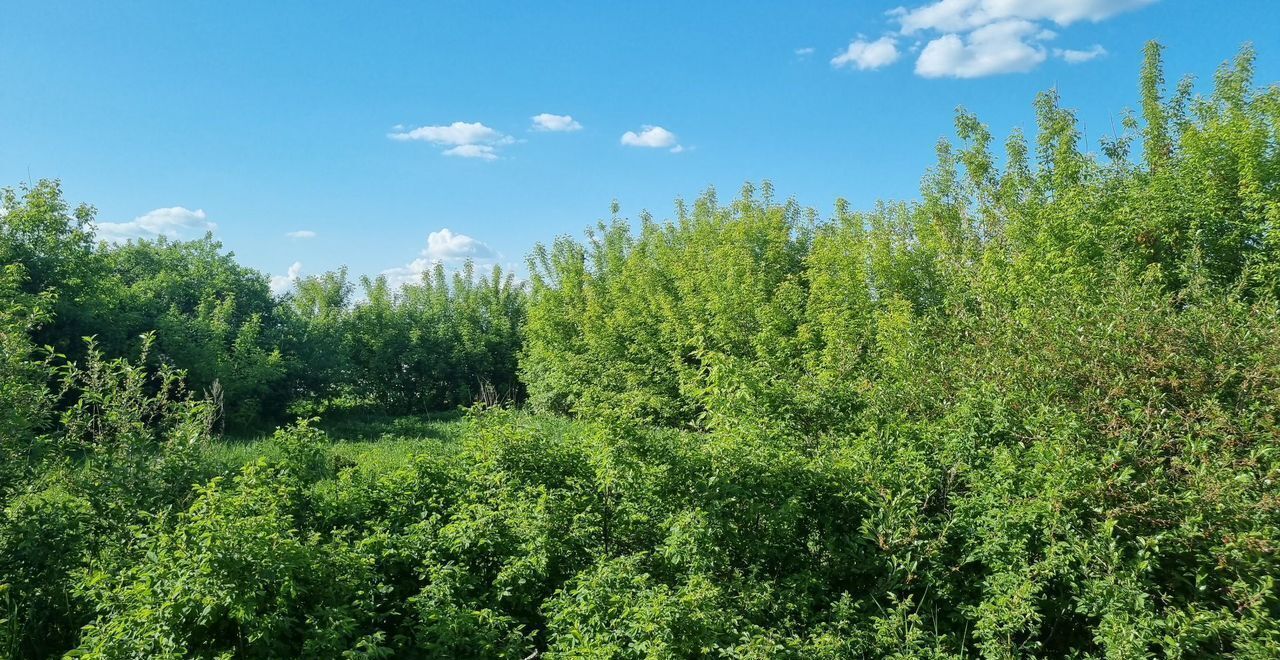 земля г Казань ул Центральная Республика Татарстан Татарстан, Кощаковское сельское поселение, садоводческое товарищество Шемелка, Пестречинский р-н фото 4