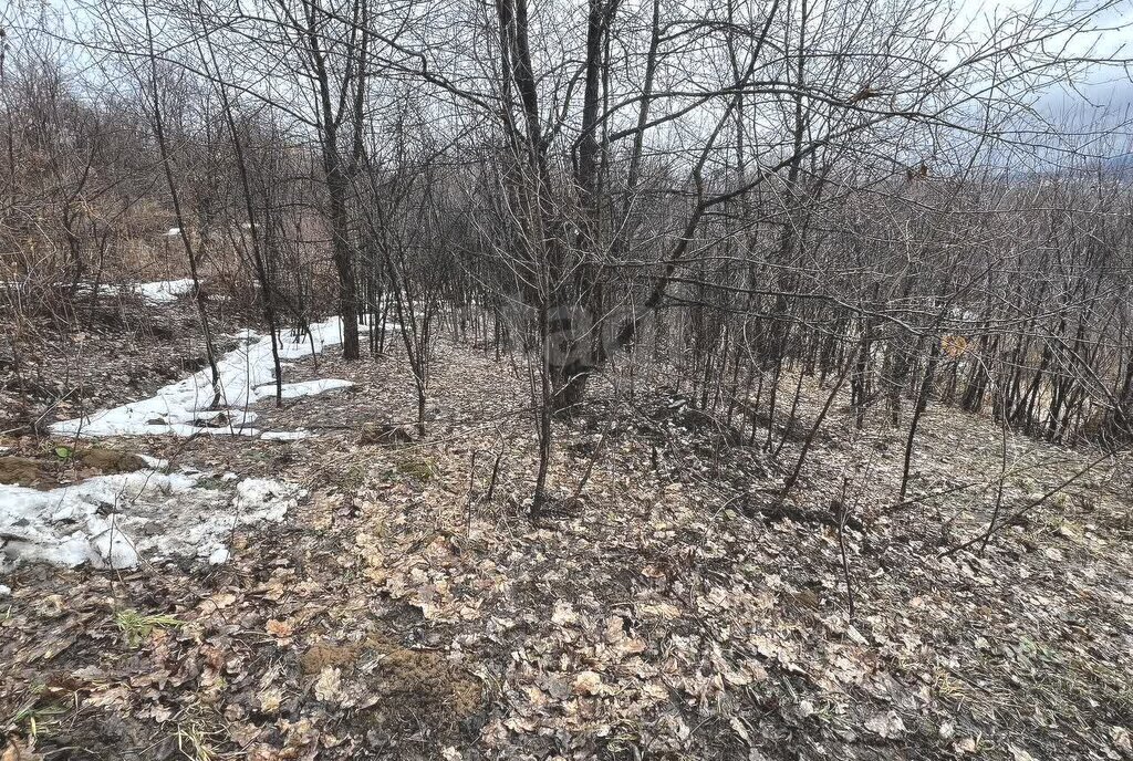 земля г Горно-Алтайск фото 1