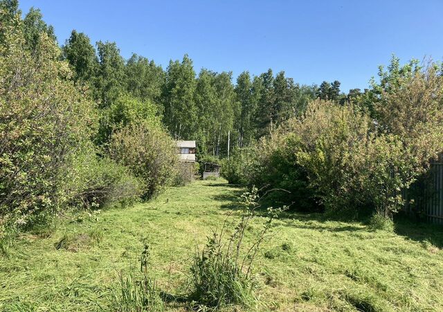 ул Лесная садоводческое товарищество Плодовый, Ялуторовский р-н фото