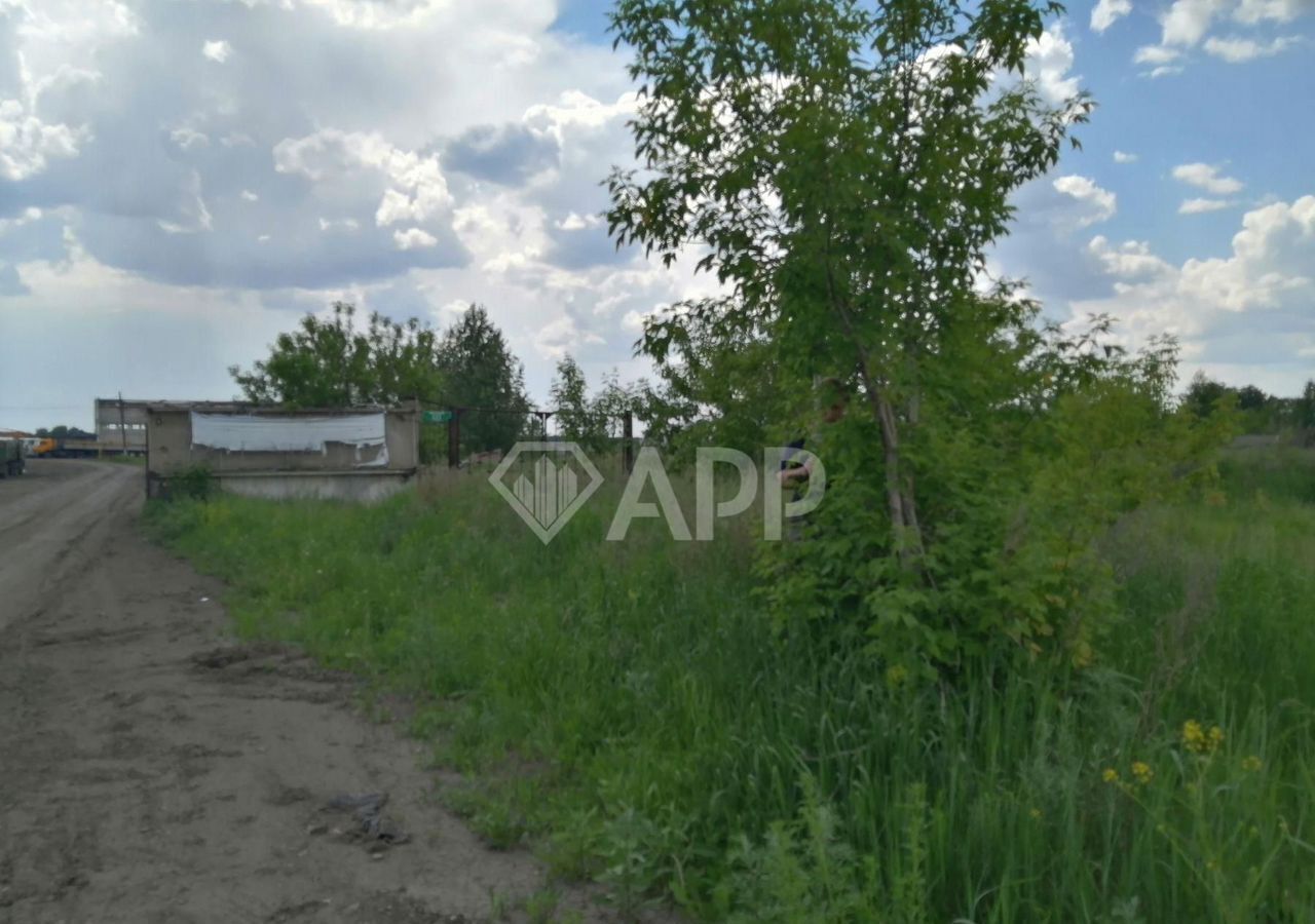 земля р-н Калачинский г Калачинск Калачинское городское поселение фото 6