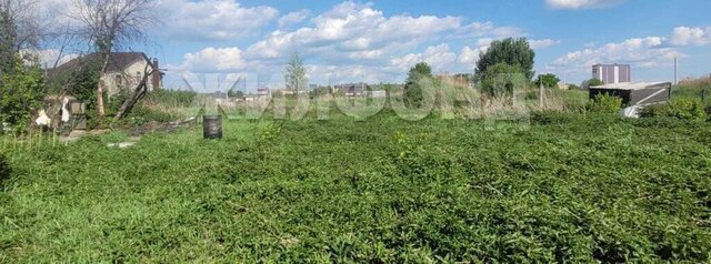 ул Тихая Криводановские дачи фото