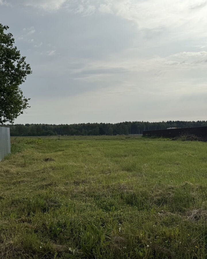 земля городской округ Богородский г Ногинск 40 км, д. Соколово, Щёлковское шоссе фото 4