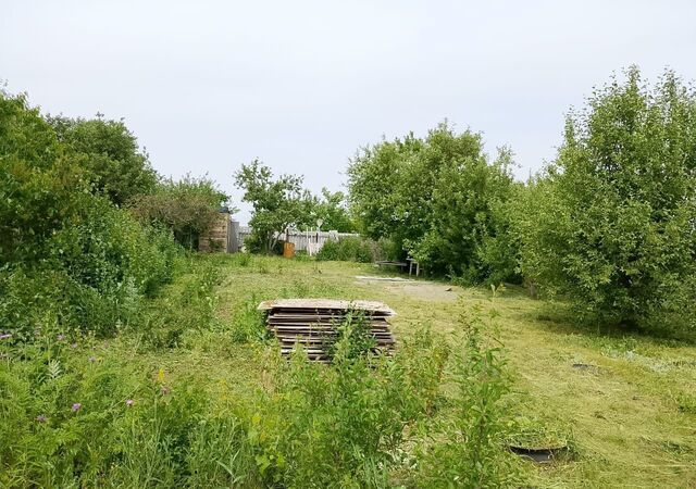 снт Автомобилист муниципальное образование фото