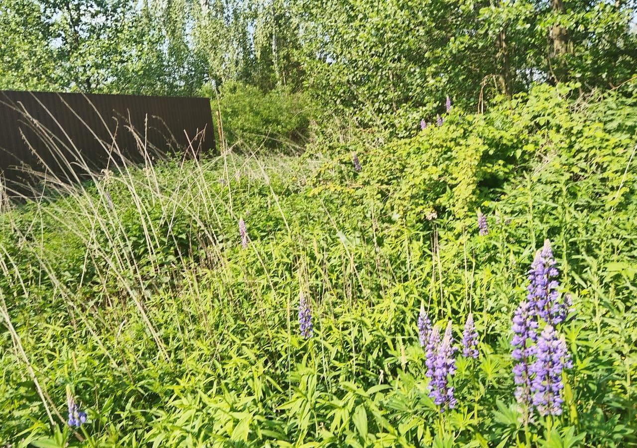 дом г Раменское снт Топаз 49 км, 418, Раменский муниципальный округ, Бронницы, Рязанское шоссе фото 4