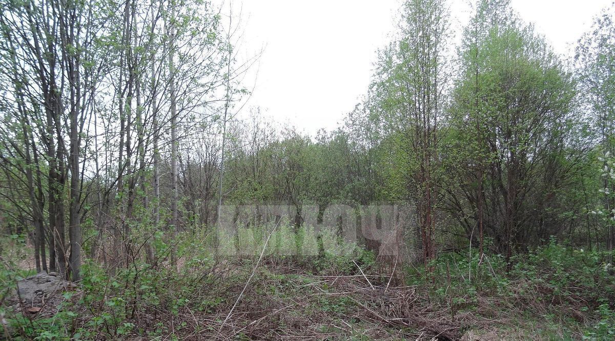 земля р-н Сокольский г Сокол ст Сухона фото 2