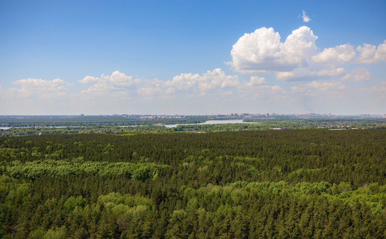 квартира г Новосибирск р-н Первомайский ул Ошанина 3 фото 22