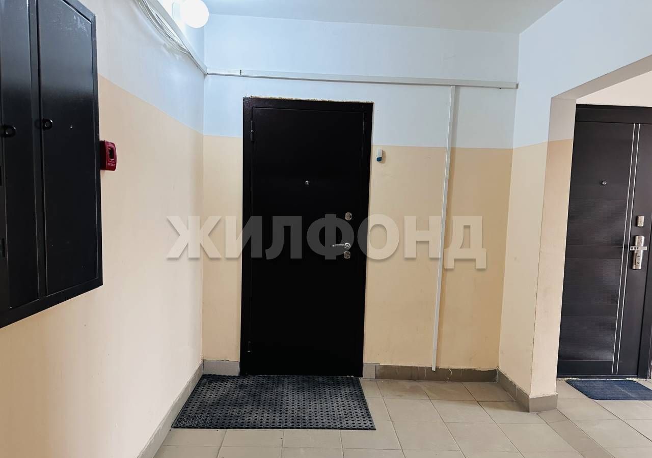 квартира г Новосибирск р-н Октябрьский Золотая Нива ул Татьяны Снежиной 49/3 фото 23