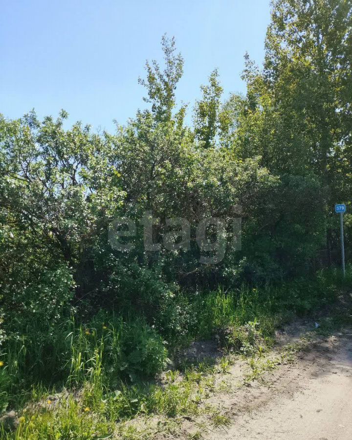 земля г Бор с Линда Центральная ул., 54, д. Шубино фото 8