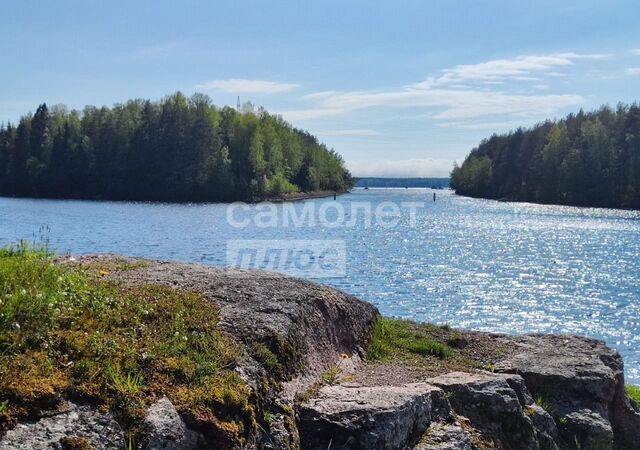 ул Согласия 59 Трасса Скандинавия, 100 км, Выборгское городское поселение фото