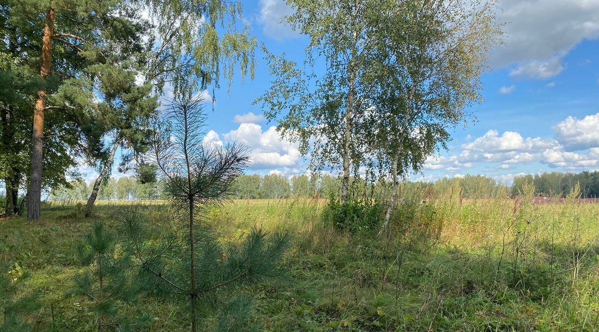 земля г Сергиев Посад снт Дон городской округ Ступино фото 3